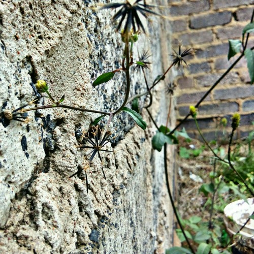 Stream Ilwa Babo...leaked by KrazyCoolJ by KrvzyCxxlJ🇿🇦 | Listen online