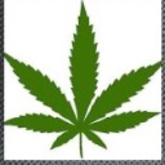 THE NEW MONKEY GRAN TURISMO TURBO D MC ACE