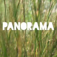 Ep. 12: Panorama