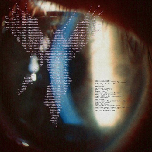 imp in the ravelights ___2