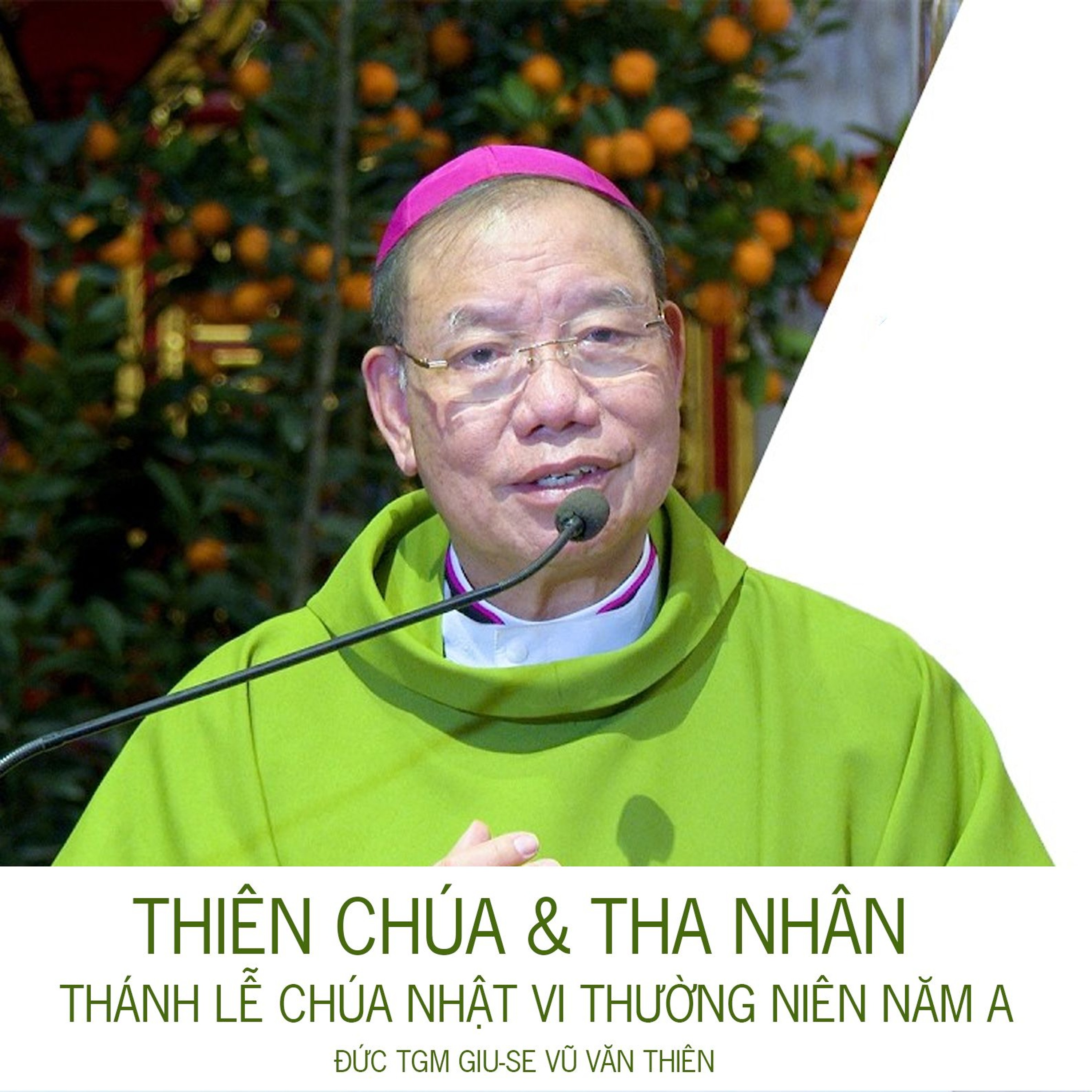 CN VI TN A || Thiên Chúa và Tha nhân || Đức TGM Giu-se Vũ Văn Thiên episode artwork