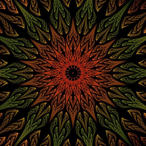 🪕🪘
