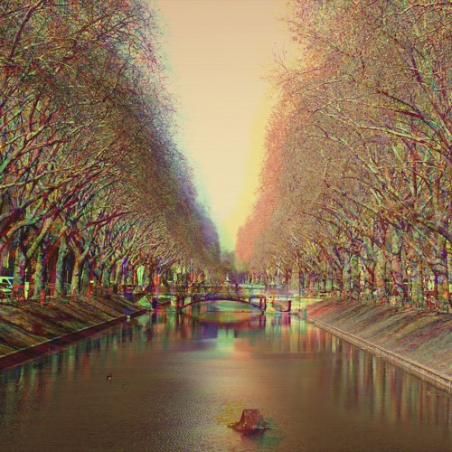 the silence in the fall is where i truly understood myself