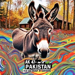ВИТЯ АК 47 x BOU- АЛЕ, ЭТО ПАКИСТАН (DANYANINE MASHUP)