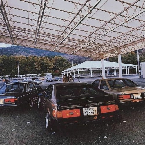 My 2019