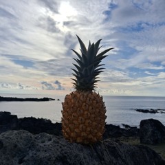 For Gerard II - ( Summer DJ )