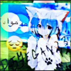 Meow Meow Meow Meow😔😔😔😔😔😔😔