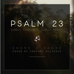 Psalm 23 (Surely Goodness, Surely Mercy)- Shane and Shane cover
