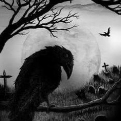 NOVINHA QUE GOSTA DE TRETA - feat TM DO PC