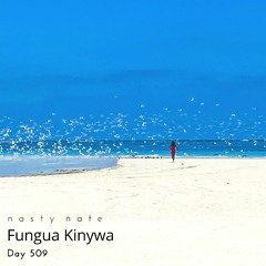 n a s t y  n a t e - Fungua Kinywa. Day 509 - AFRO HOUSE