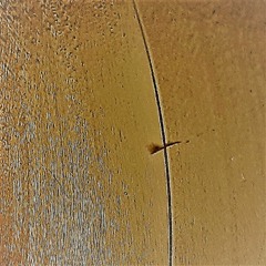 SourKraut -  Skies Are Great