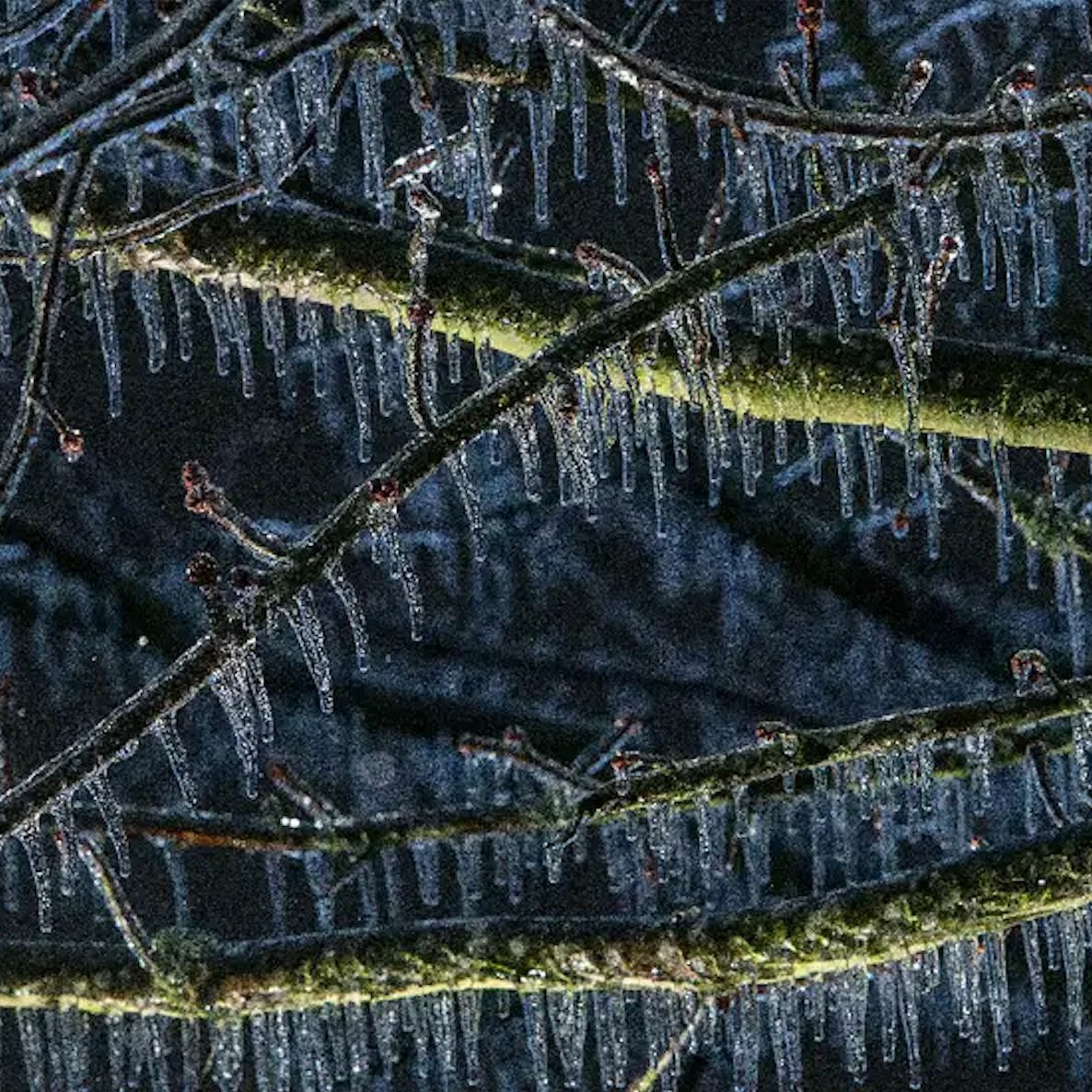 Explore Oregon Podcast: The state\'s most beautiful places and biggest issues