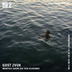 GOST ZVUK x NTS monthly show #34 w/ Ilya Vlasenko