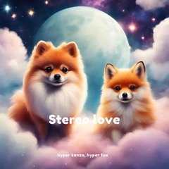 Hyper Fox x Hyper Kenzo - Stereo Love