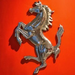 Arabian Horse 🐎