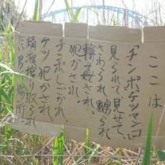 ここは (2号.)