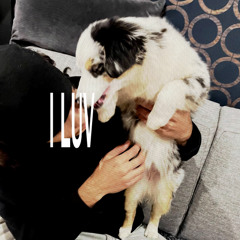 i luv (p. jorko)