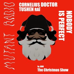 NOBODY IS PERFECT - The Christmas Show [26.12.2023]