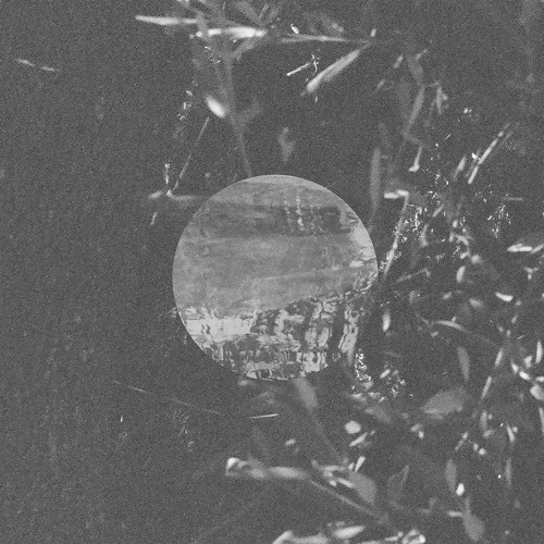 Tan Cologne - II - Odd Rotation