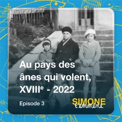 3 - Au Pays Des Ânes Qui Volent - XVIII 2022