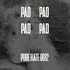 PAD - PUREHATEPODCAST0012 [PHP0012]
