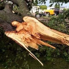 рѣсь - даст пизды