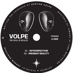 Volpe - Present Reality [TRNS001]