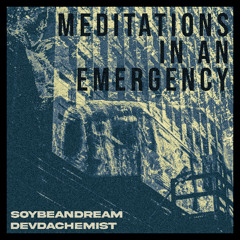 MEDITATIONS IN AN EMERGENCY