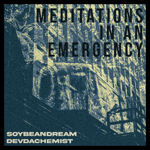 MEDITATIONS IN AN EMERGENCY