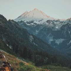 العلاقات بين العاملين في الدين | مشاكل العاملين | د. أحمد سيف الإسلام