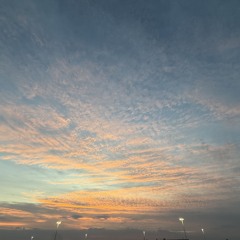 simulation no edits