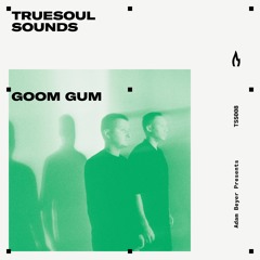 TSS008 - Truesoul Sounds - Goom Gum Mix