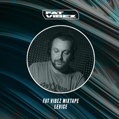 FAT VIBEZ Mixtape - Levice