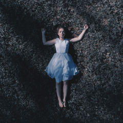 I Laid Me Down One Quiet Night