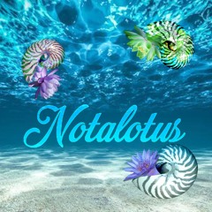 Notalotus (White Lotus Theme Song - Floriduh Remix)