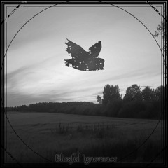 Blissful Ignorance