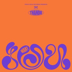 Thando - Want You (Extended Mix)