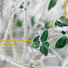 Melodic Dreams #142 - December 29th 2023 [live]