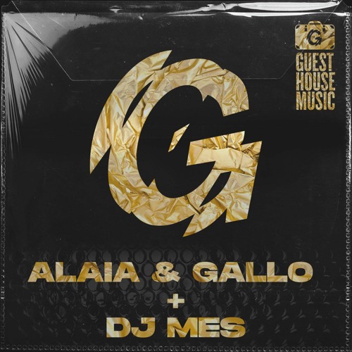 Alaia & Gallo, DJ Mes - Who Knows (DJ Mes Town Bizz Mix)