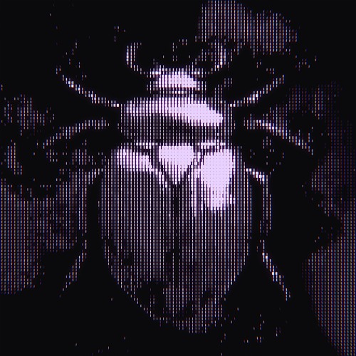 Annix & Enei - Immortal