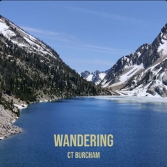 Wandering