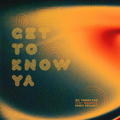 Gil Tamazyan | Get To Know Ya (Andrew Emil Dreamix)