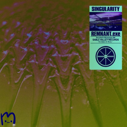 REMNANT.exe - Singularity (plumpy remix)