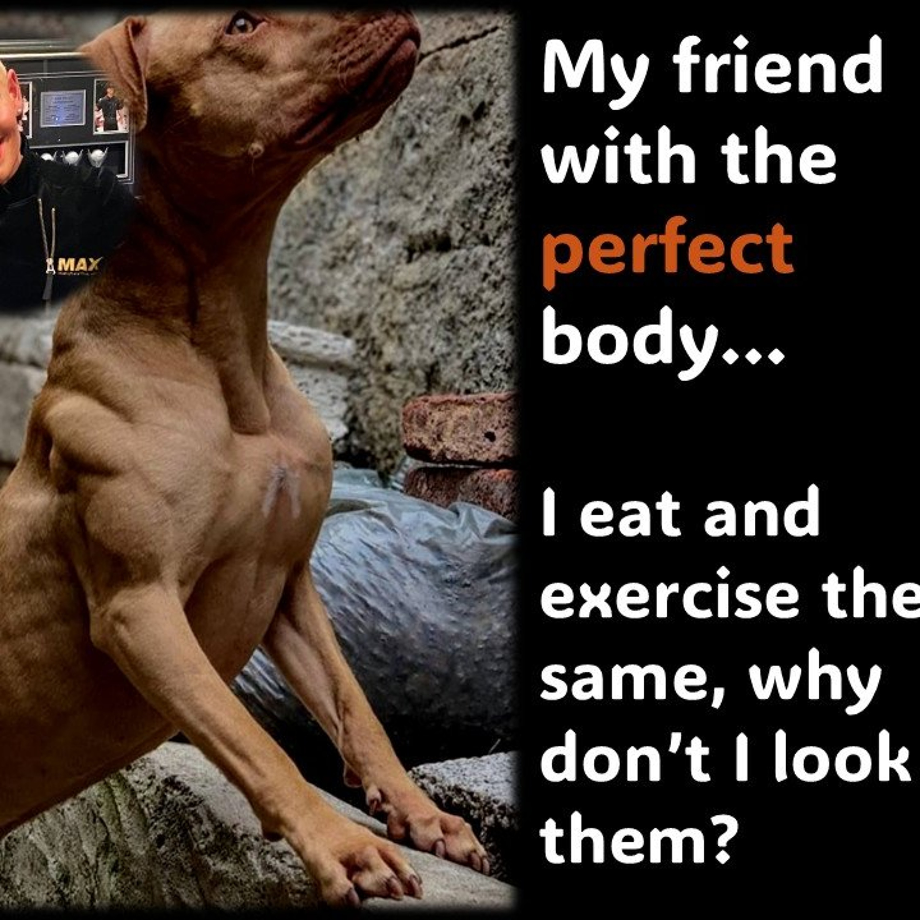 My friend with the perfect body…