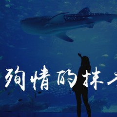 F＊yy - 殉情的抹香鲸 (翻自 三块木头)「北海那头殉情的抹香鲸，是你对我说过最后的话语」【動態歌詞/pīn yīn gē cí】