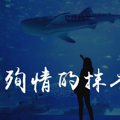 F＊yy - 殉情的抹香鲸 (翻自 三块木头)「北海那头殉情的抹香鲸，是你对我说过最后的话语」【動態歌詞/pīn yīn gē cí】