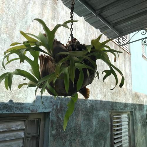 CUC - Prod. Bobby Oroza *VIDEO IN DESCRIPTION*