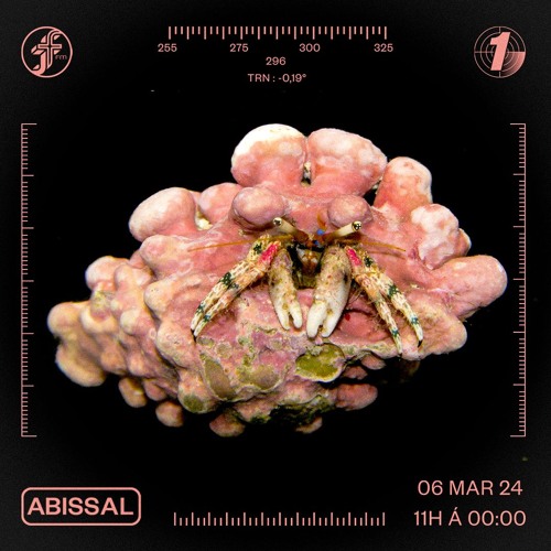 ABISSAL #01 I JAY POOH