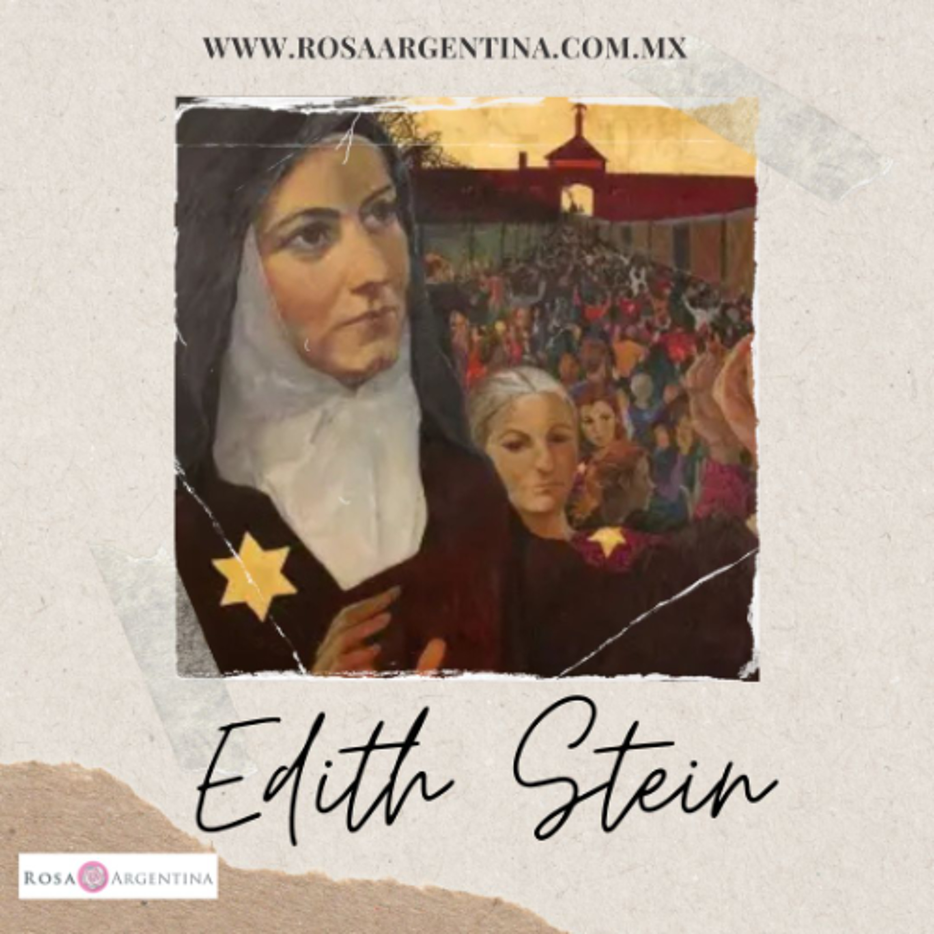 EDITH STEIN episode artwork