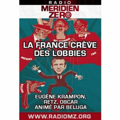 Emission n°416 : "La France crève des lobbies"
